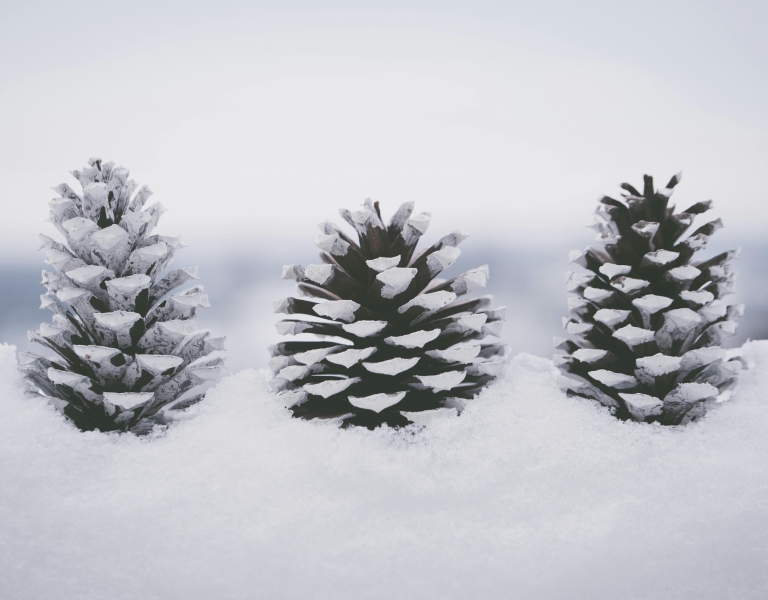 Overgang naar wintertijd: impact op ploegenarbeid en loon